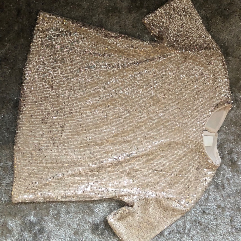 Sequined shirt sleeve blouse
